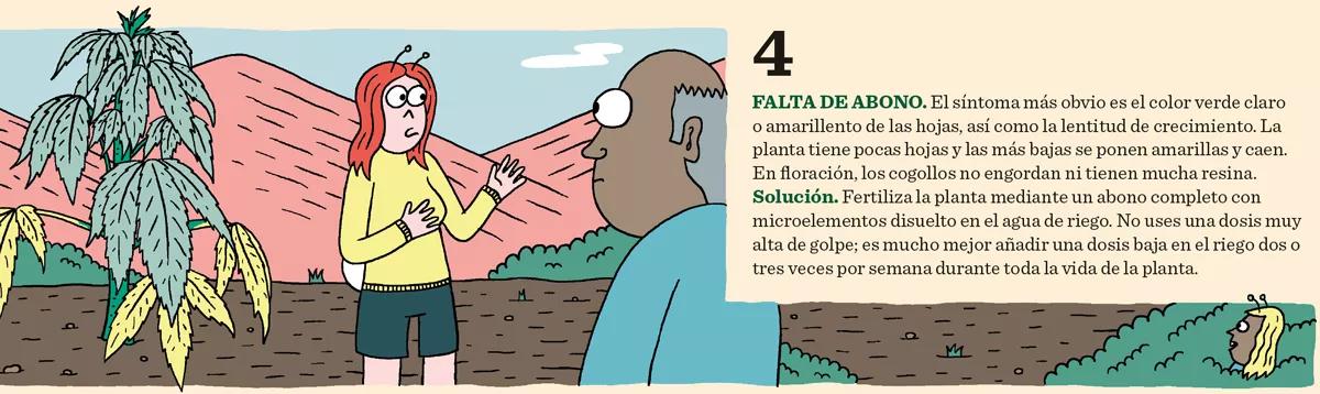 Los seis problemas más comunes del cultivo y sus soluciones