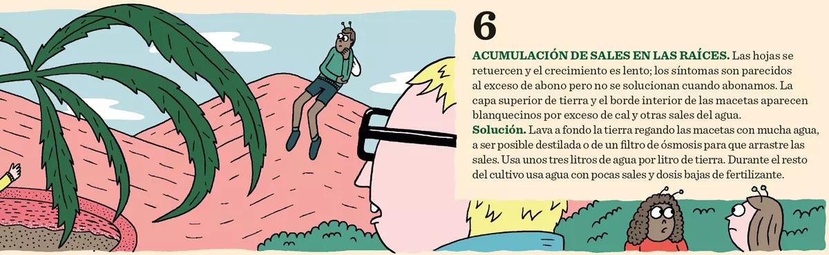 Los seis problemas más comunes del cultivo y sus soluciones