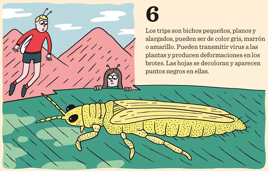 Las nueve peores plagas del cultivo y cómo combatirlas 
