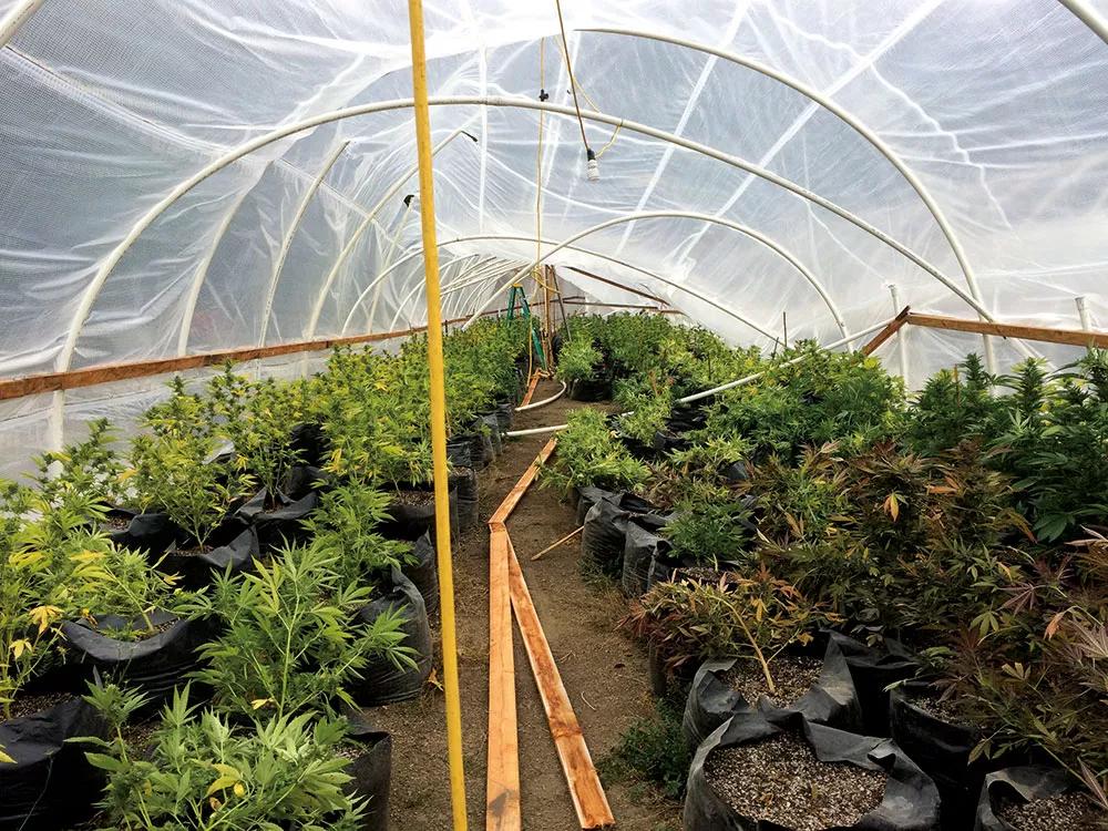  Destrozos en el primer invernadero tras una tormenta inferna