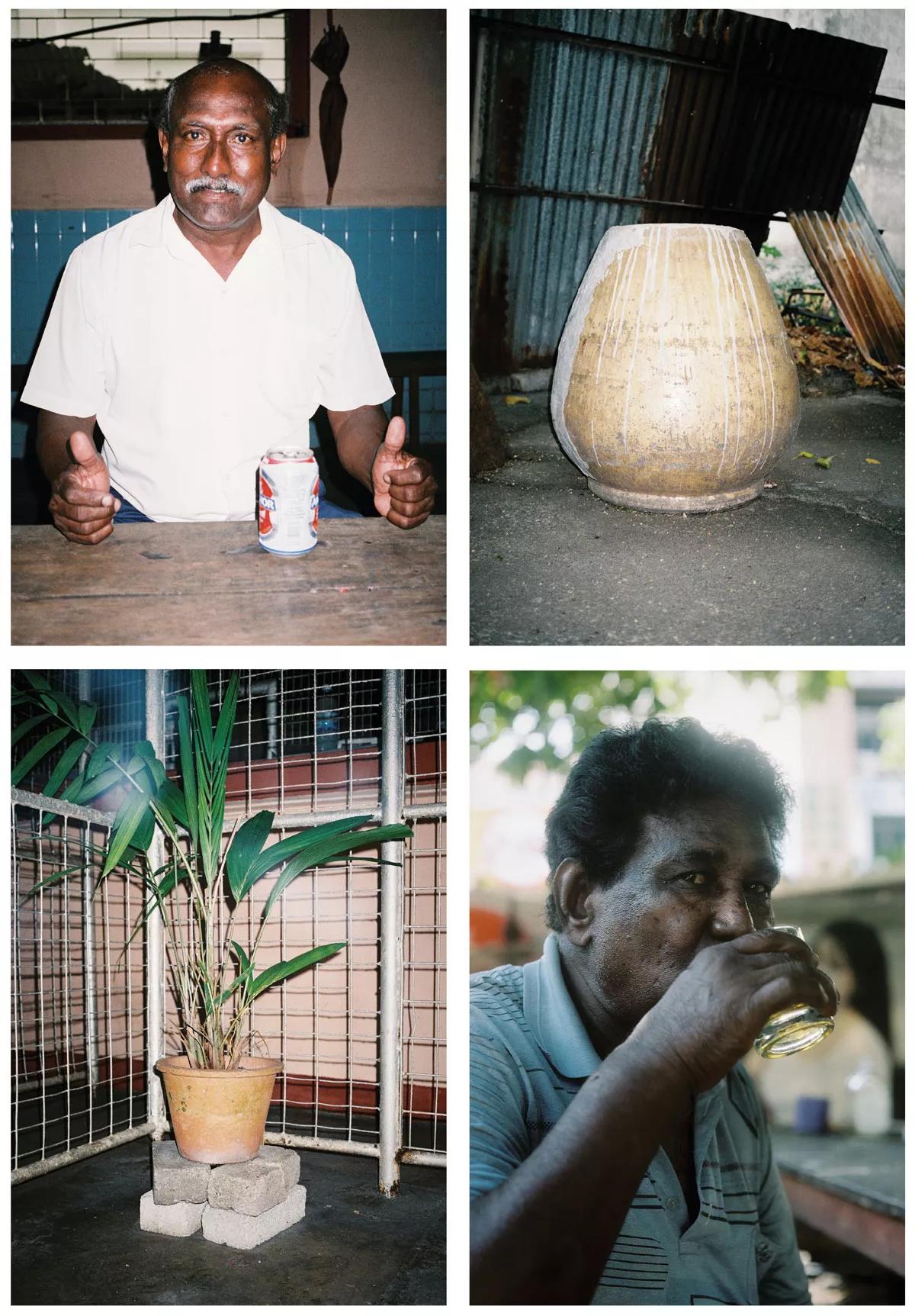 Un vaso de ‘toddy’ en compañía. Por Leafhopper 