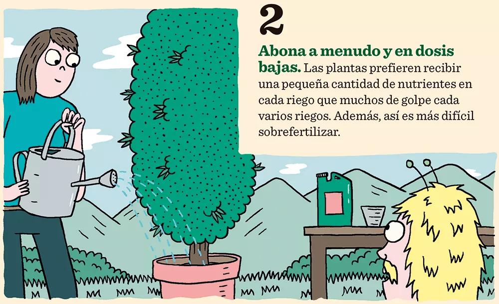 Once claves para la fertilización: como conseguir los mejores cogollos
