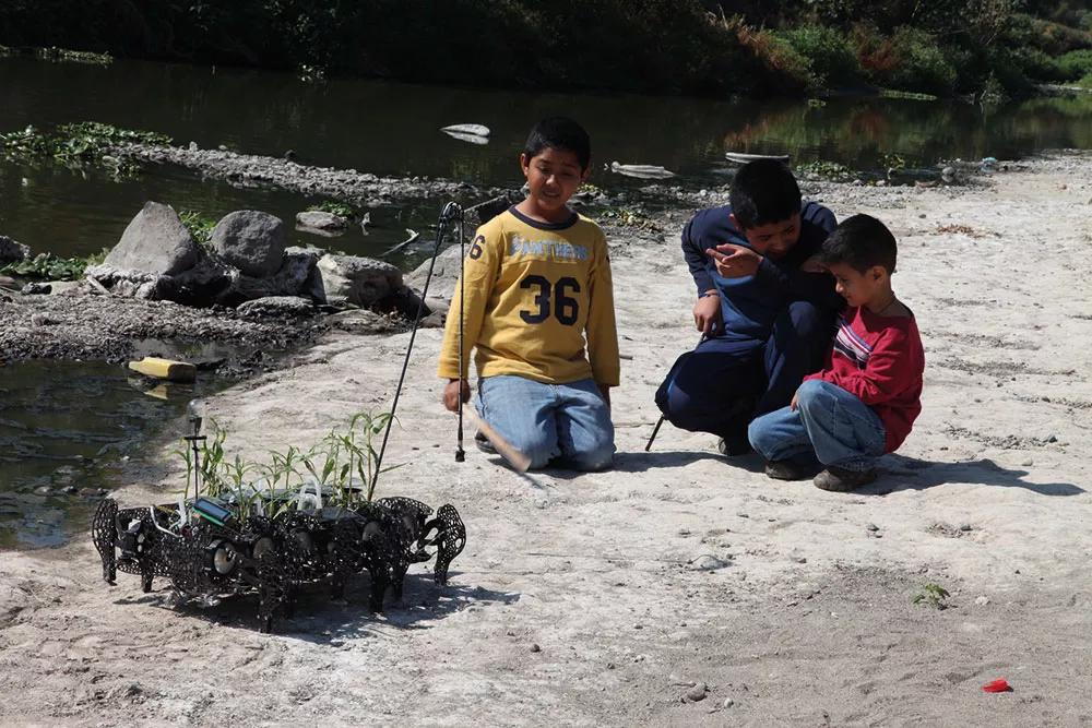 Aunque detrás de las Plantas Nómadas no está generar un sentimiento de comunidad, lo cierto es que los lugareños han entablado relaciones de apoyo y afectivas alrededor de estas plantas móviles.