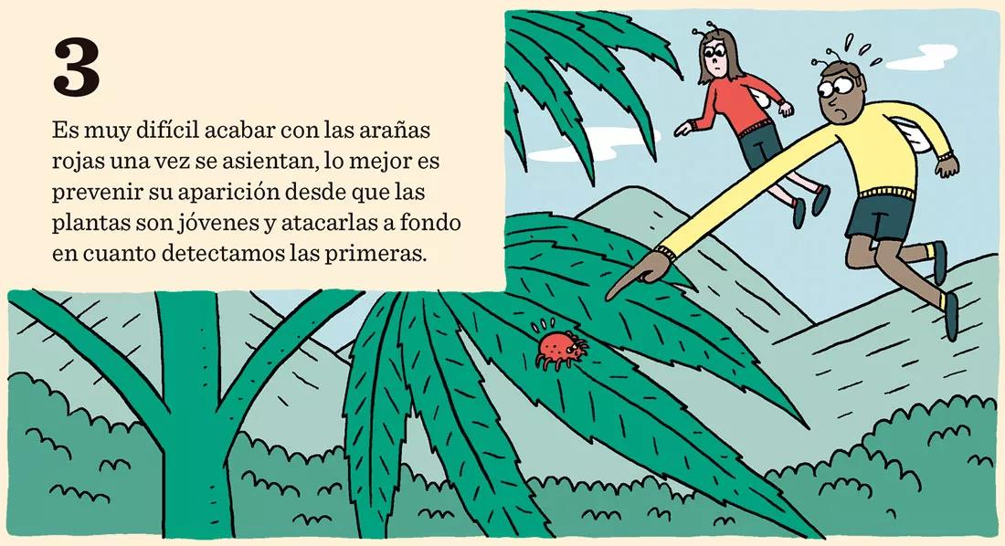 Los enemigos del cogollo: arañas rojas, orugas del cogollo, botritis y oídio