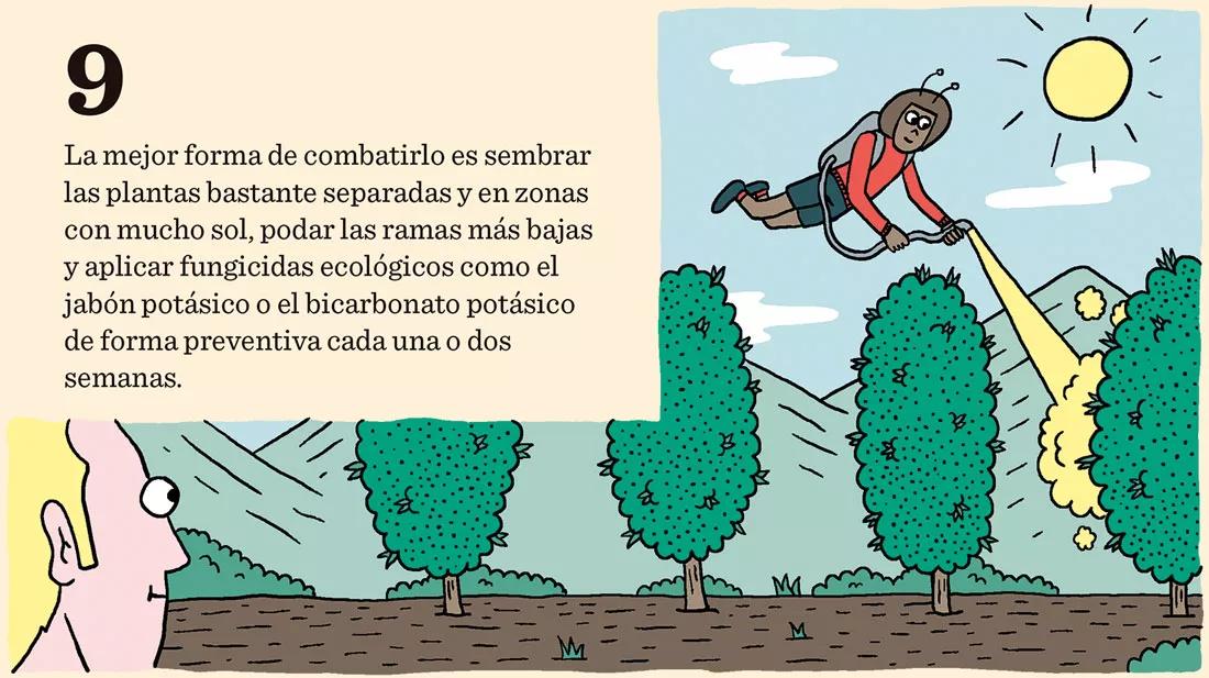 Los enemigos del cogollo: arañas rojas, orugas del cogollo, botritis y oídio