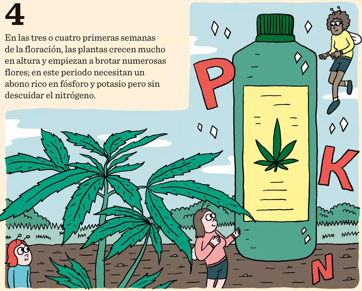 Diez consejos para una buena floración 