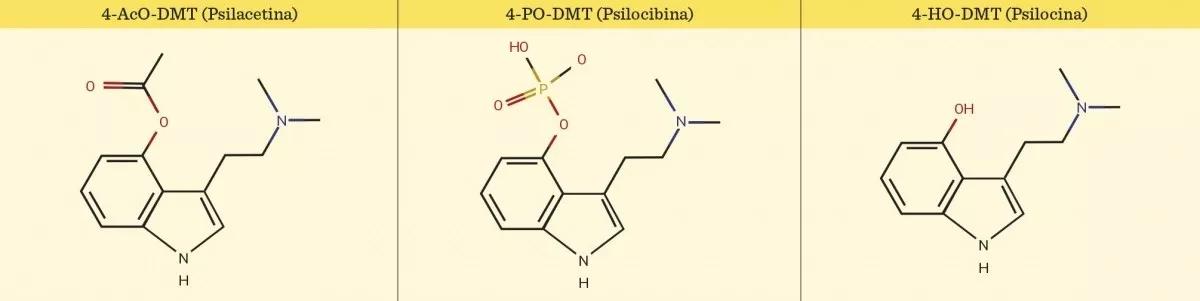 Chocolate psicodélico (4-AcO-DMT)