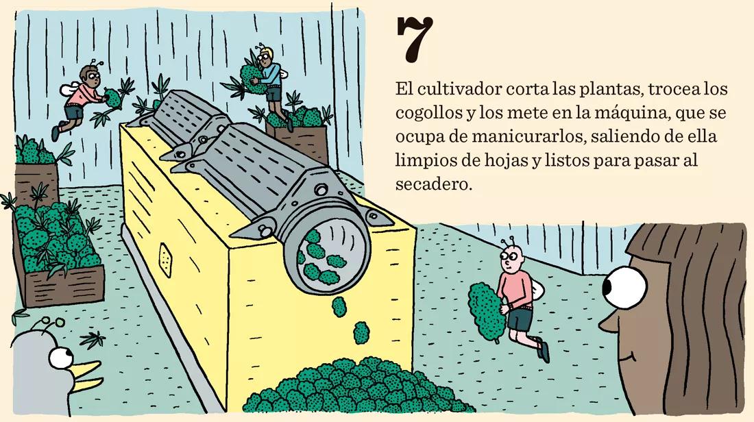 Diez claves sobre las máquinas de manicurar