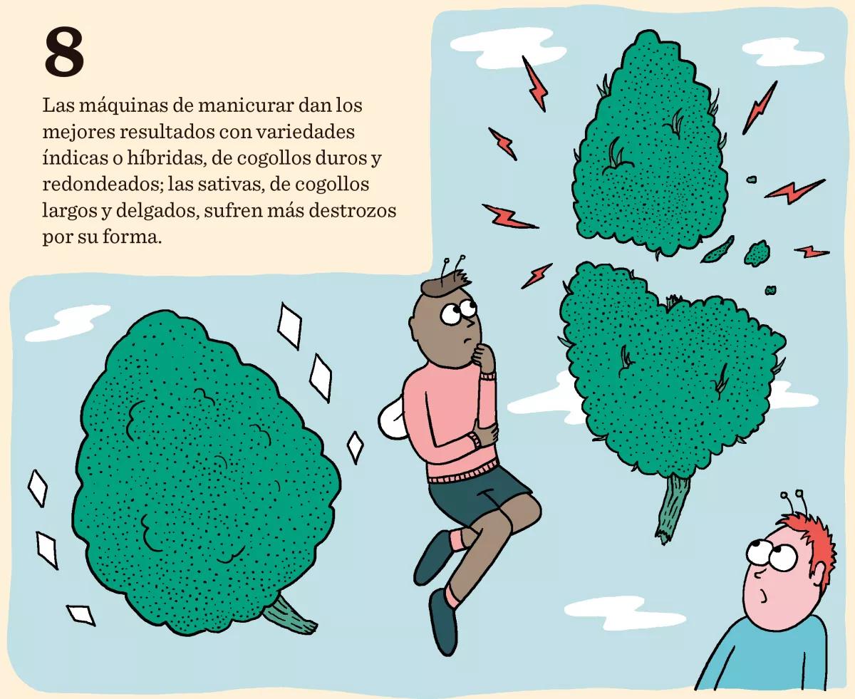 Diez claves sobre las máquinas de manicurar