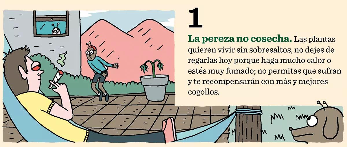 Diez errores clásicos: lo que no hay que hacer