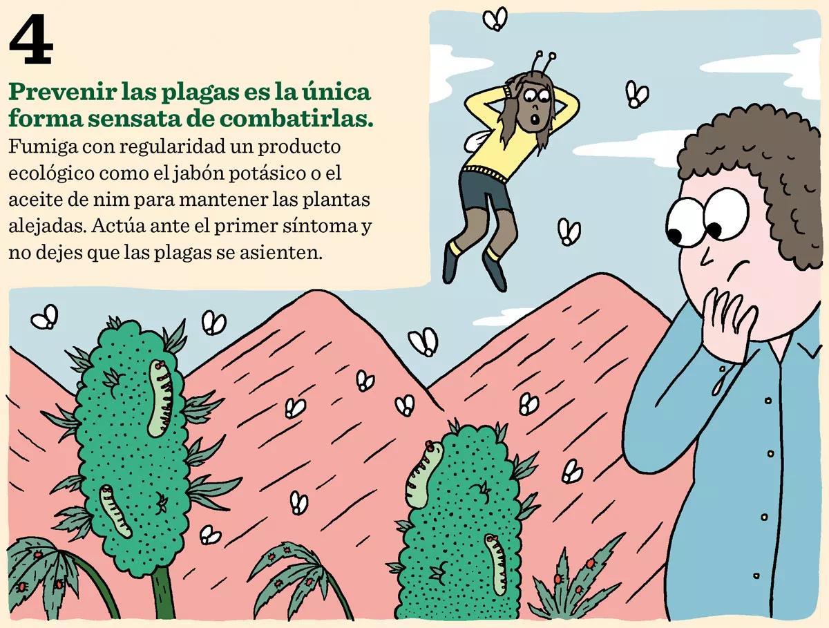 Diez errores clásicos: lo que no hay que hacer