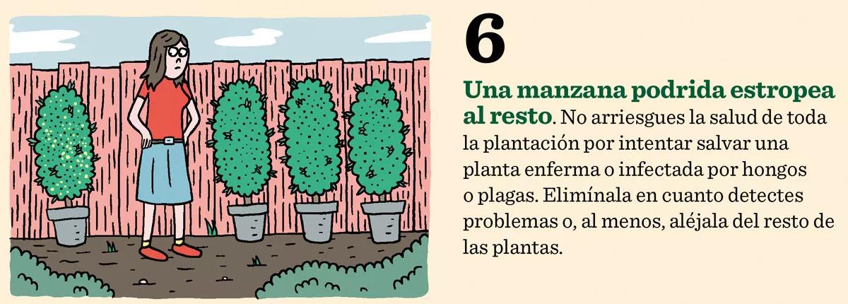 Diez errores clásicos: lo que no hay que hacer