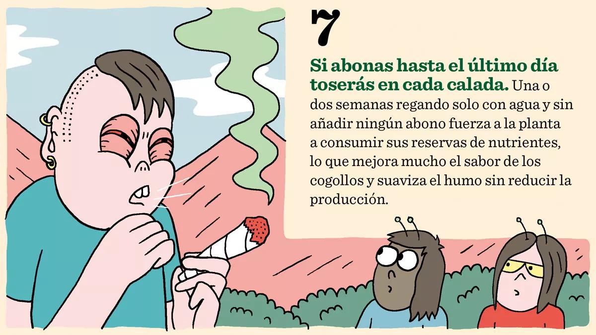 Diez errores clásicos: lo que no hay que hacer