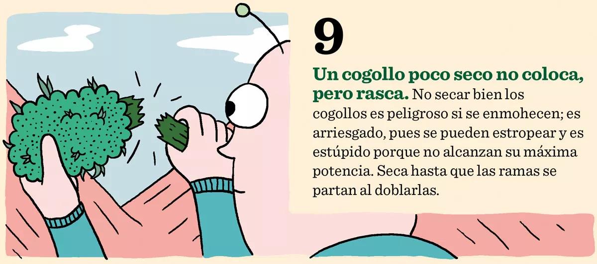 Diez errores clásicos: lo que no hay que hacer