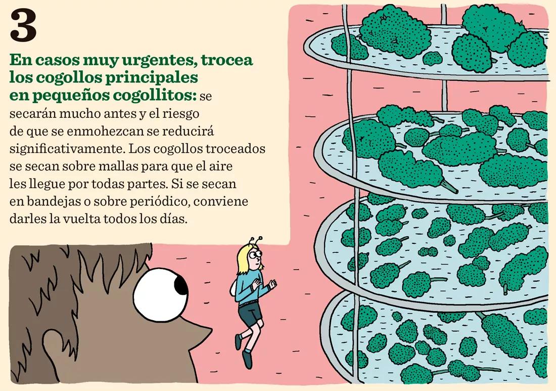 Ocho trucos para secar y curar los cogollos como los profesionales 