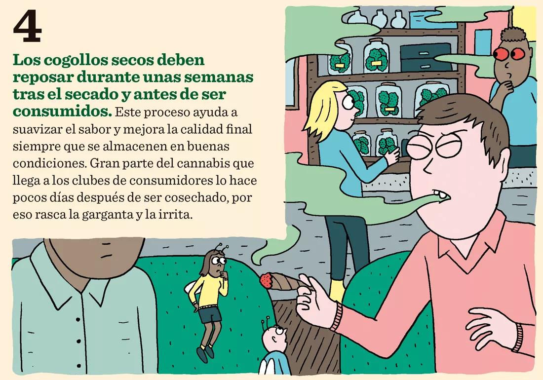 Ocho trucos para secar y curar los cogollos como los profesionales 