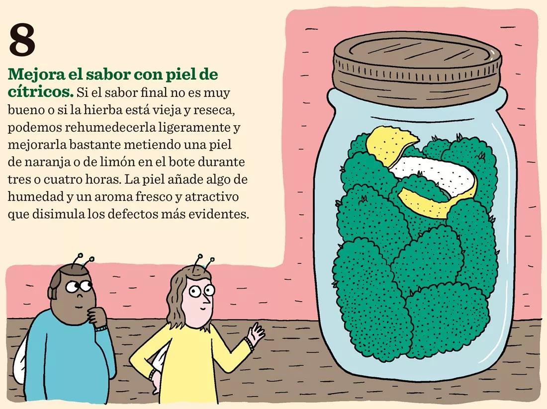 Ocho trucos para secar y curar los cogollos como los profesionales 