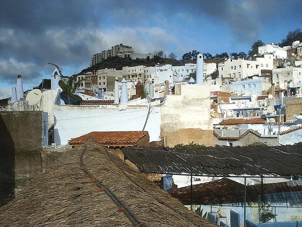 KIFI (Con la colaboración poética de Bárbara Zagora)