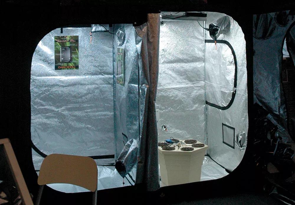 Los pequeños armarios de cultivo se benefician mucho de tener gente cerca para elevar el nivel de CO2. 