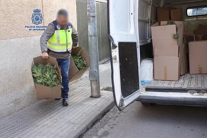 La policía descubre una rifa navideña con premios de cocaína y cannabis