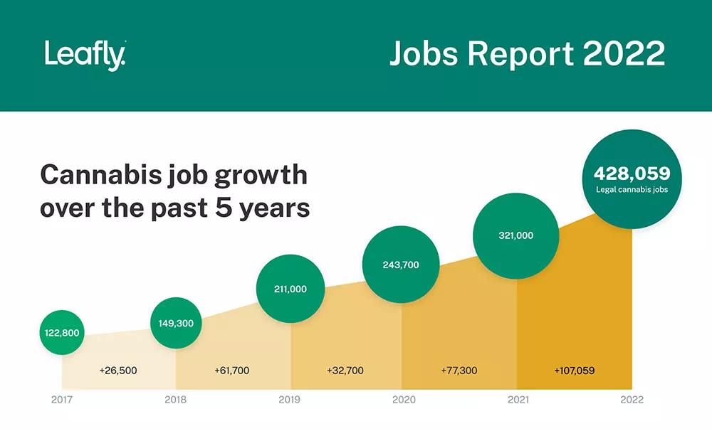 Los empleos relacionados con el cannabis han crecido a una tasa de al menos un 27 % anual durante los últimos cinco años.