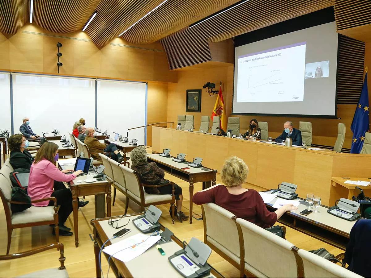 La Subcomisión del cannabis medicinal llega a su ecuador 