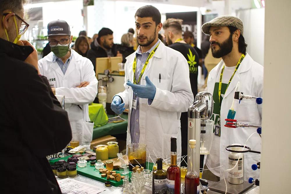 Roma y el amor al cáñamo