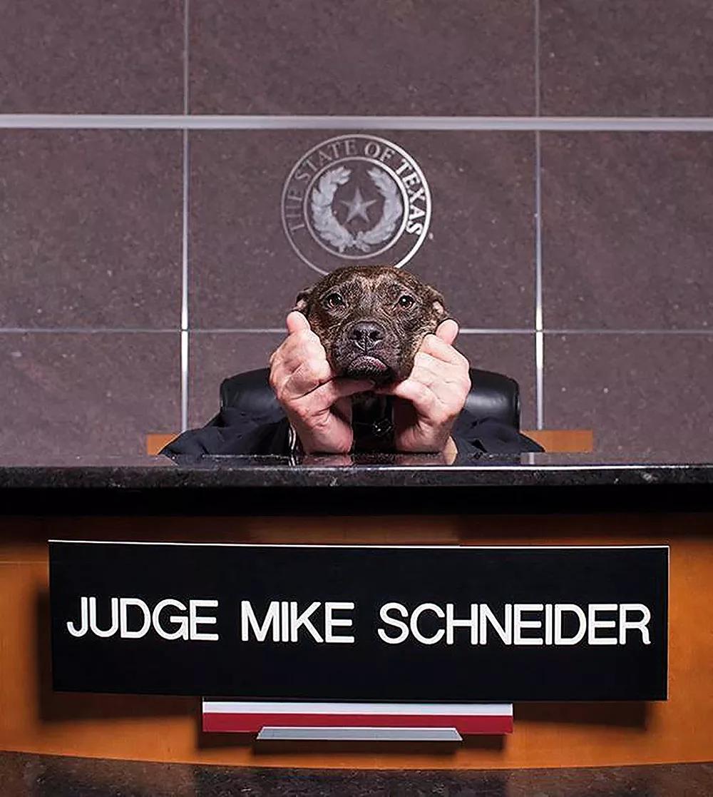 Sus métodos perrunos dieron popularidad a Mike, aquí retratado con sentido del humor por Robyn Arouty en 2013.