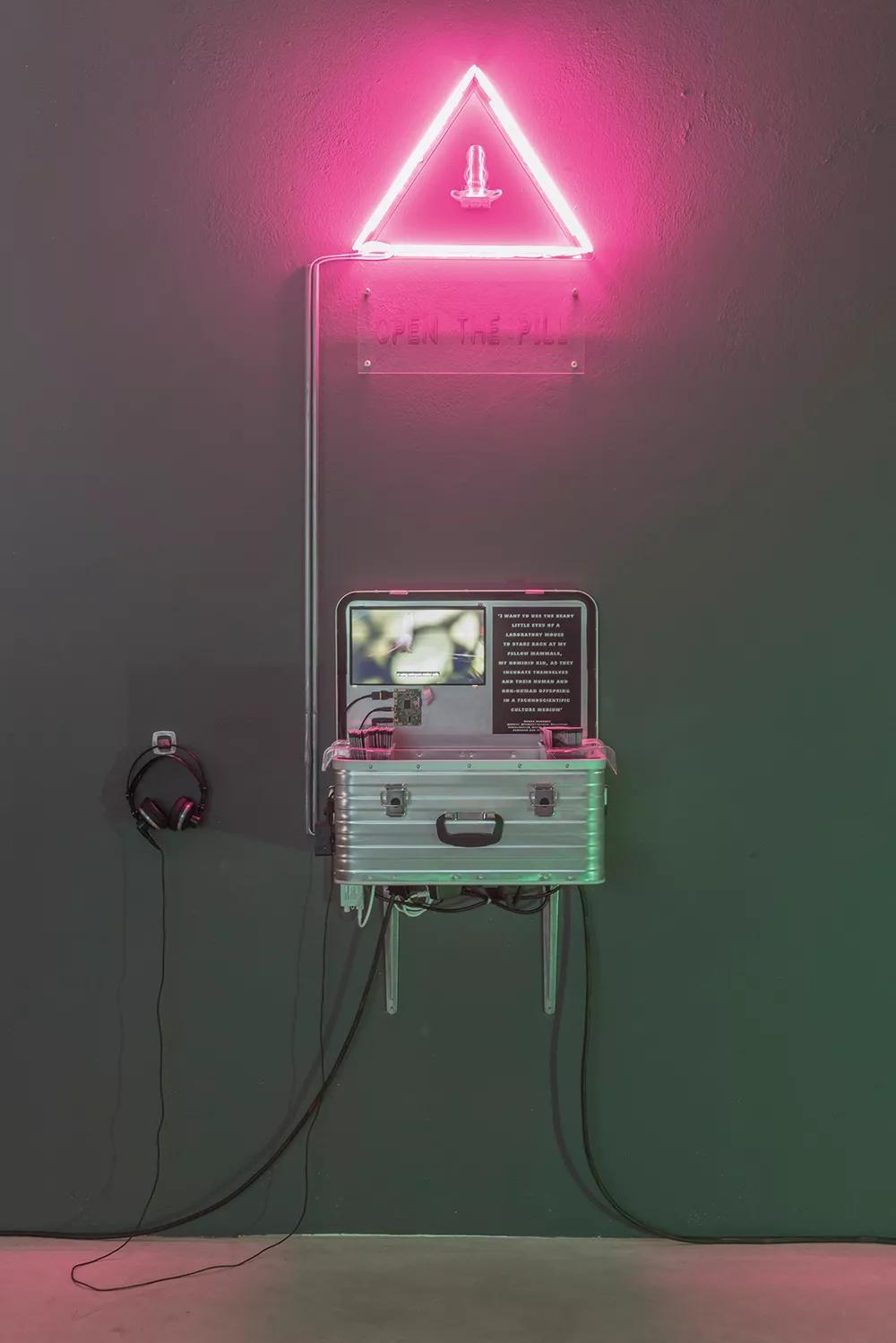 Open the Pill_Mi enfermedad (2019) es uno de los tentáculos del proyecto Trans*Plant de Quimera Rosa, un laboratorio de experimentación e investigación sobre identidades, cuerpo y tecnociencia. Una propuesta basada en una transición de humana a planta en un proceso de autoexperimentación médica.