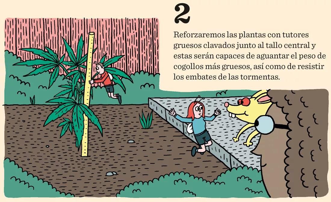 Diez trucos para junio: cómo preparar las plantas para una buena floración