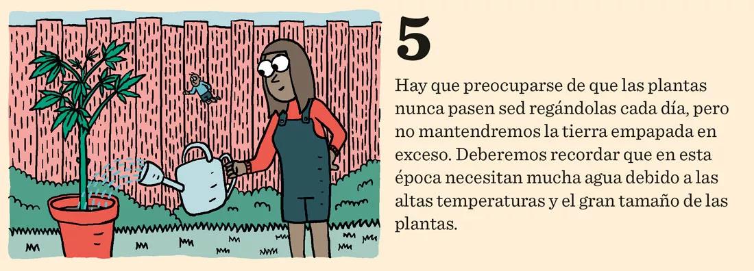 Diez trucos para junio: cómo preparar las plantas para una buena floración