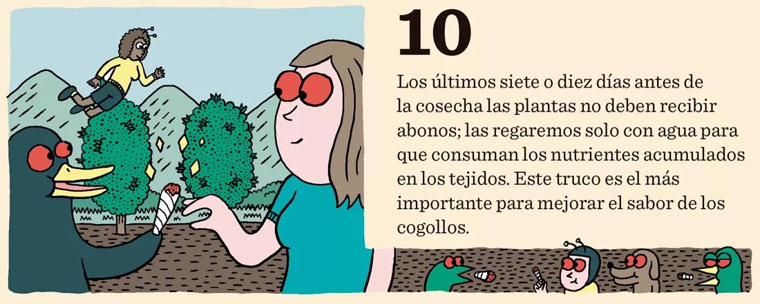 Diez trucos para dominar la floración