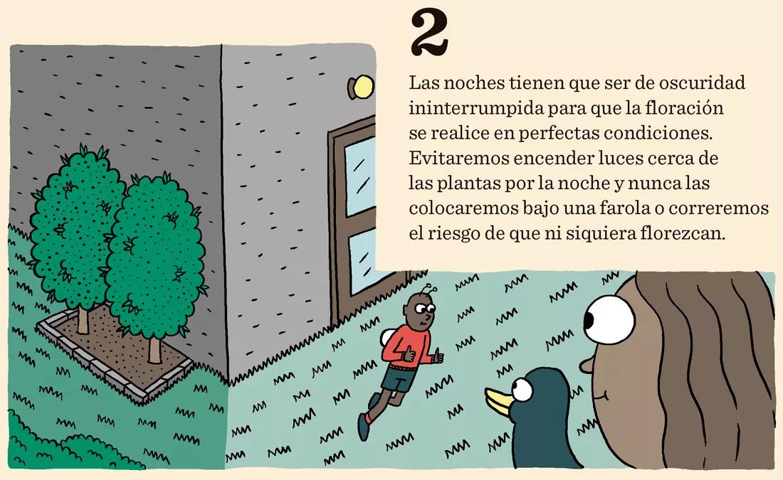 Diez trucos para dominar la floración