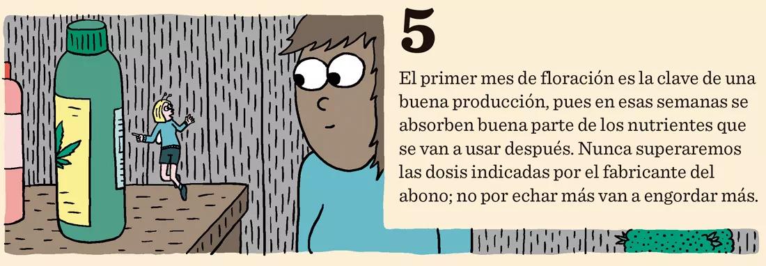 Diez trucos para dominar la floración