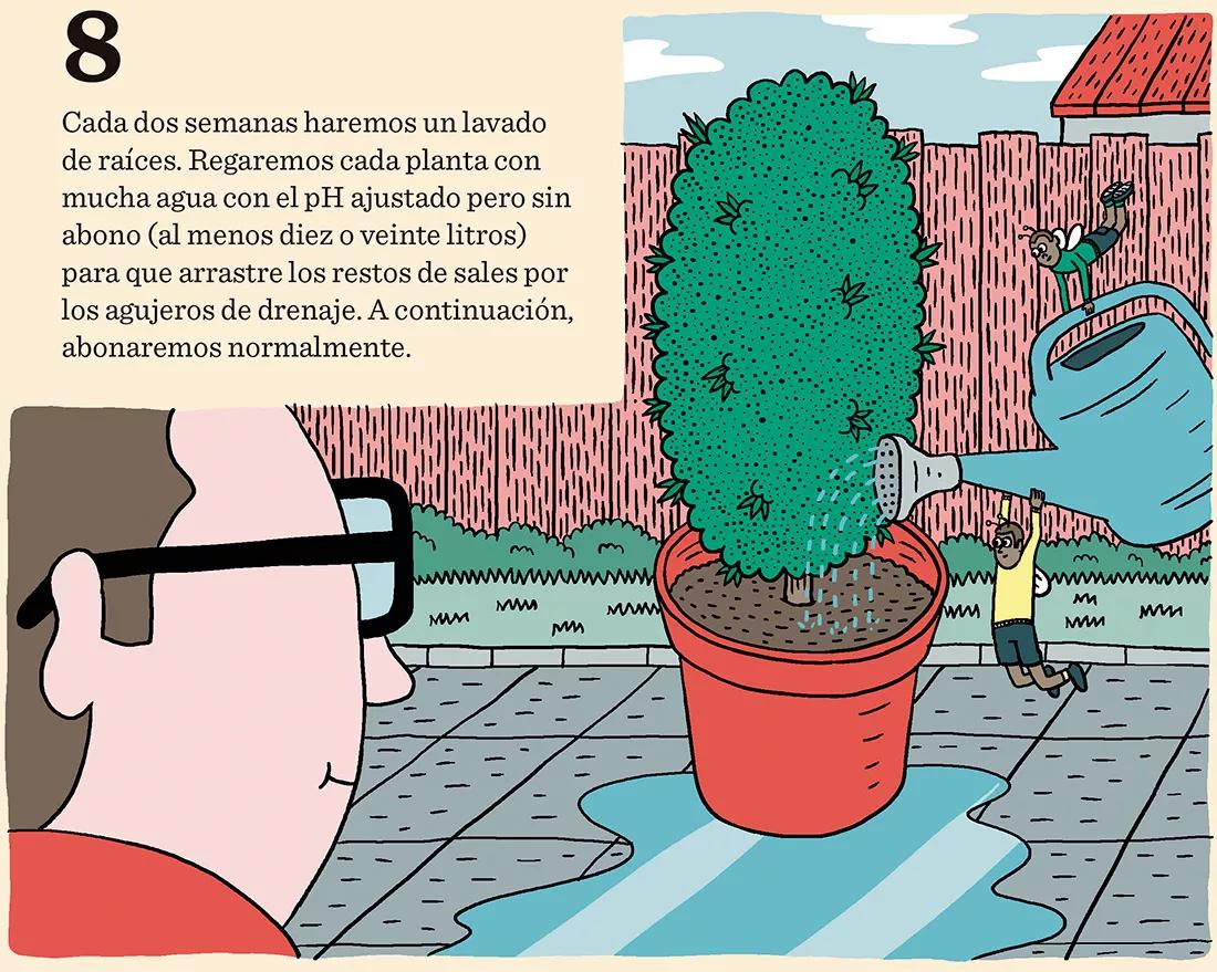 Diez trucos para dominar la floración