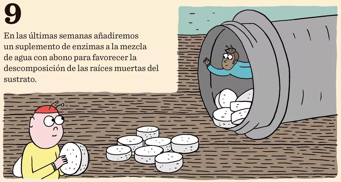 Diez trucos para dominar la floración