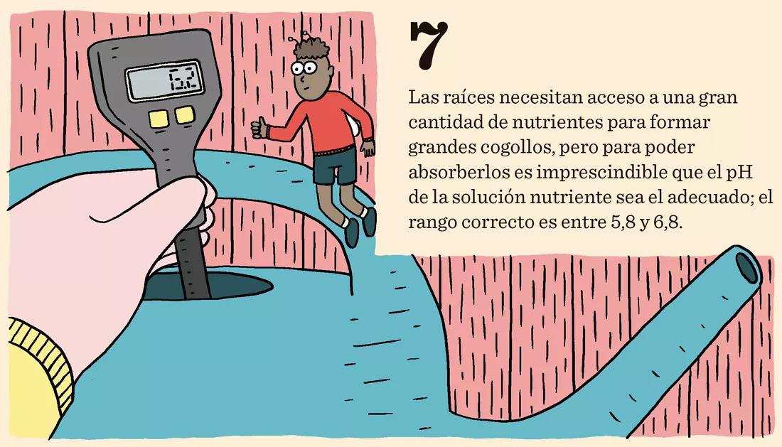 Diez trucos para dominar la floración