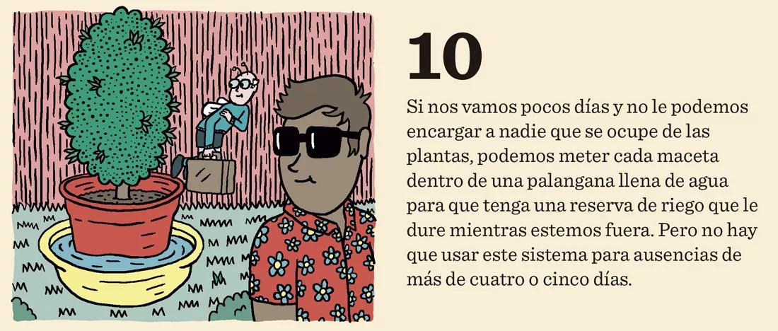 Riegos vacacionales: diez trucos para que la cosecha no sufra 