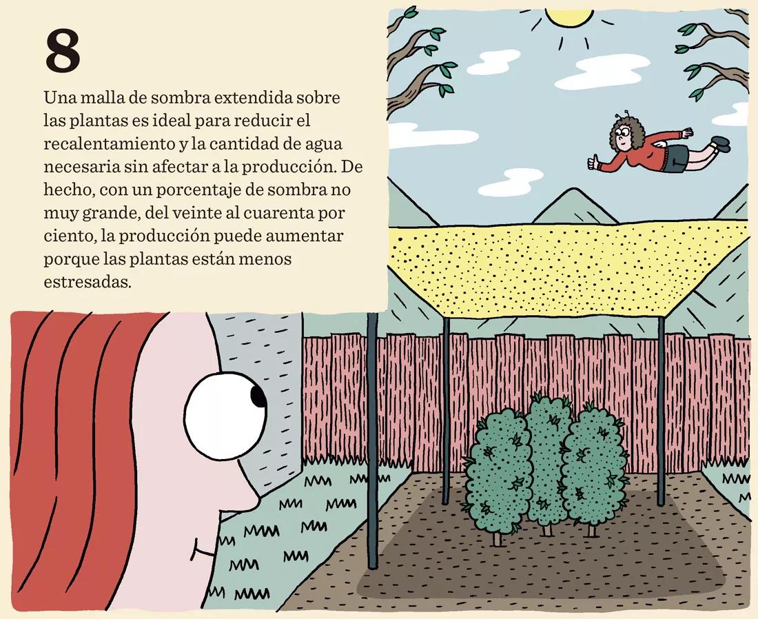 Riegos vacacionales: diez trucos para que la cosecha no sufra 