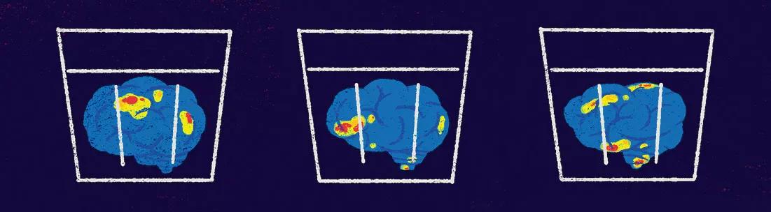 Efectos antidepresivos de la ayahuasca: ¿qué nos dice la ciencia?