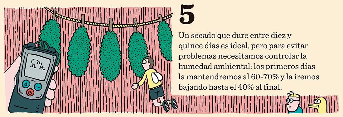 Diez trucos para el secado perfecto