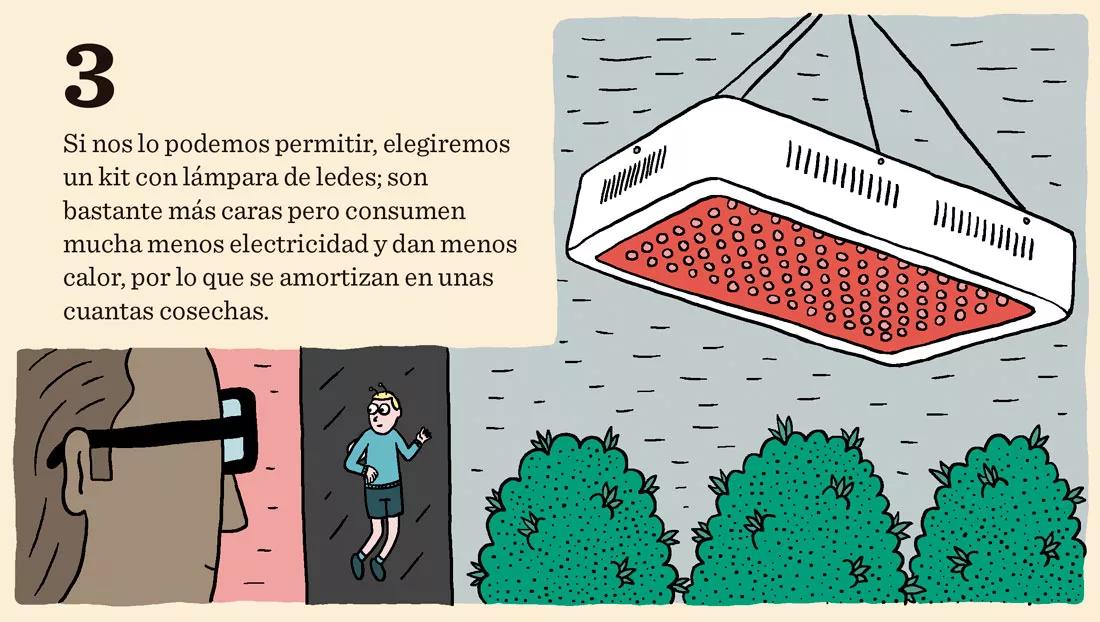 Diez pasos para empezar a cultivar con un kit de interior