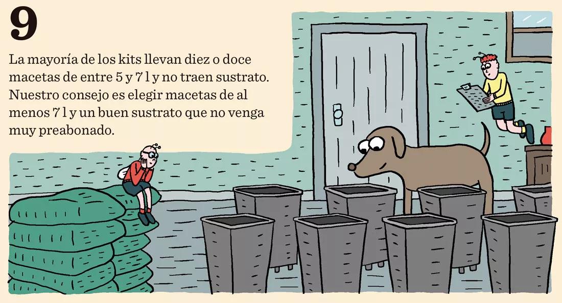 Diez pasos para empezar a cultivar con un kit de interior