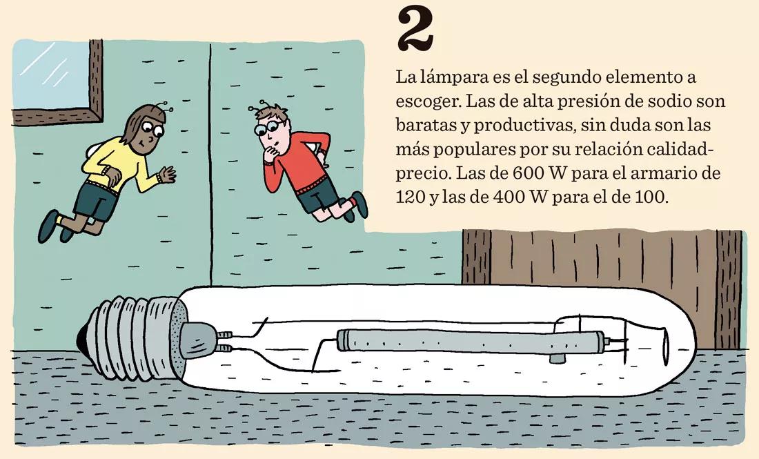 Diez pasos para empezar a cultivar con un kit de interior