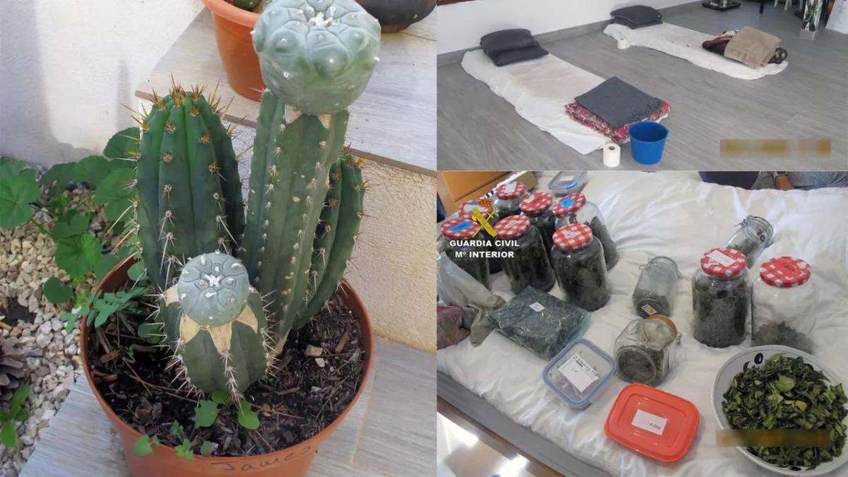 Detienen a una pareja en Yecla por organizar sesiones con plantas medicinales 