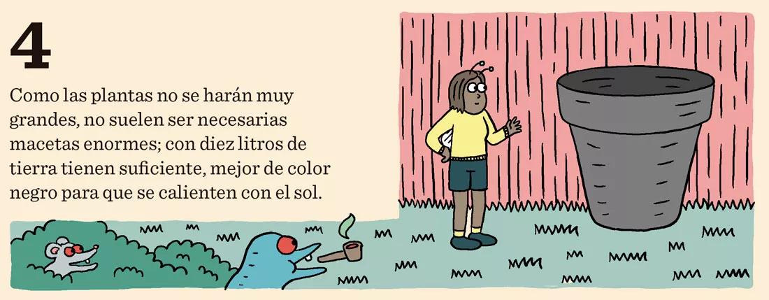 Siembra en diciembre: doce trucos y consejos 