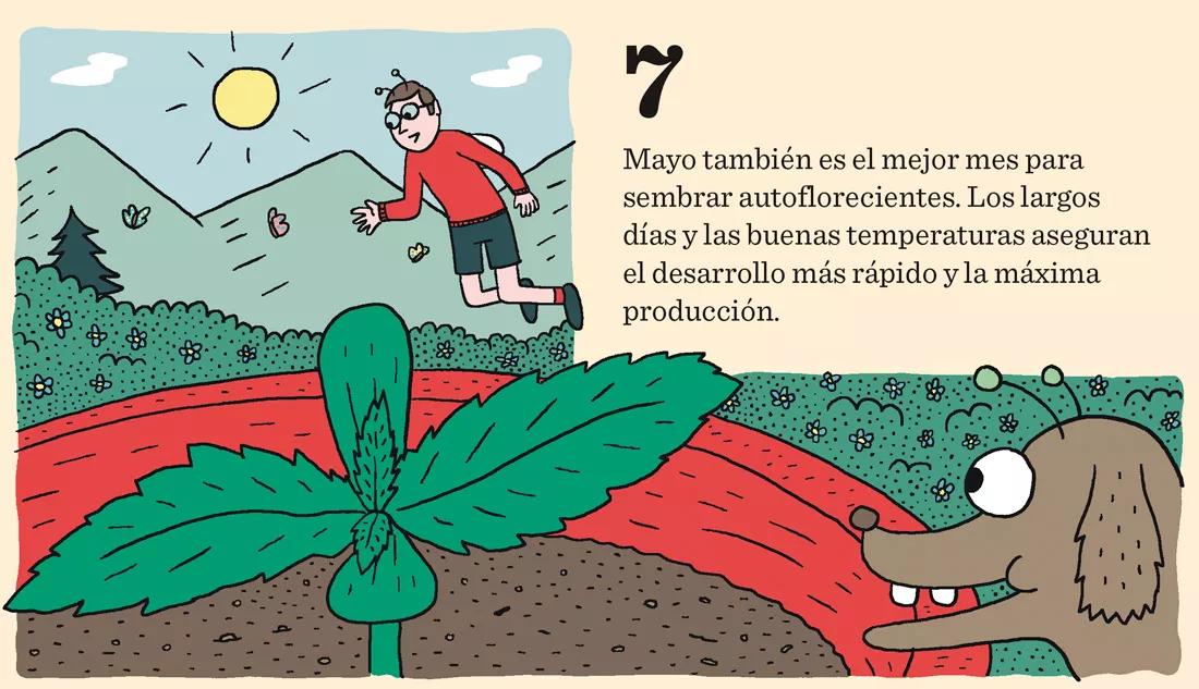 El inicio de la temporada: calendario de germinación para tener éxito