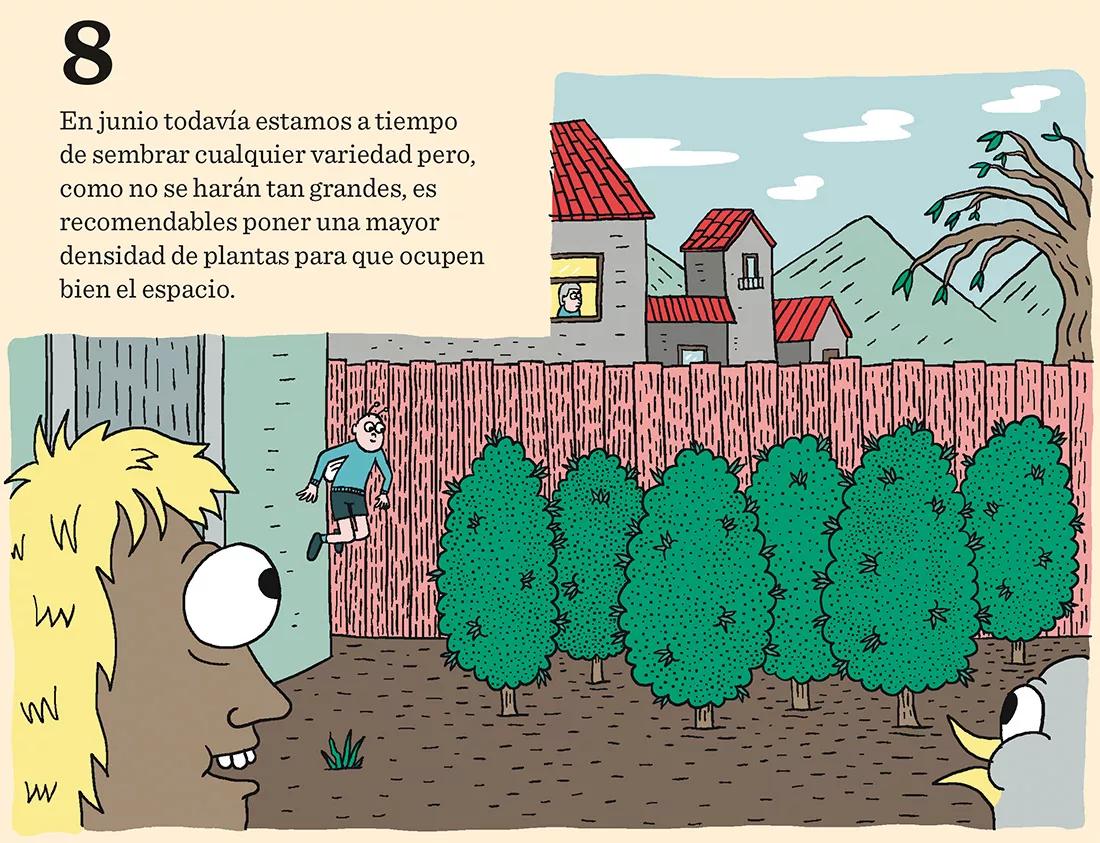 El inicio de la temporada: calendario de germinación para tener éxito