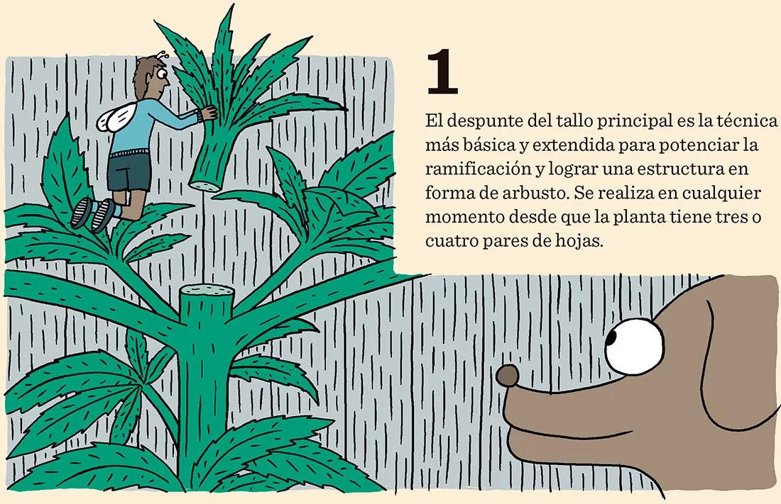 El domador de plantas: ocho técnicas para dominar el desarrollo