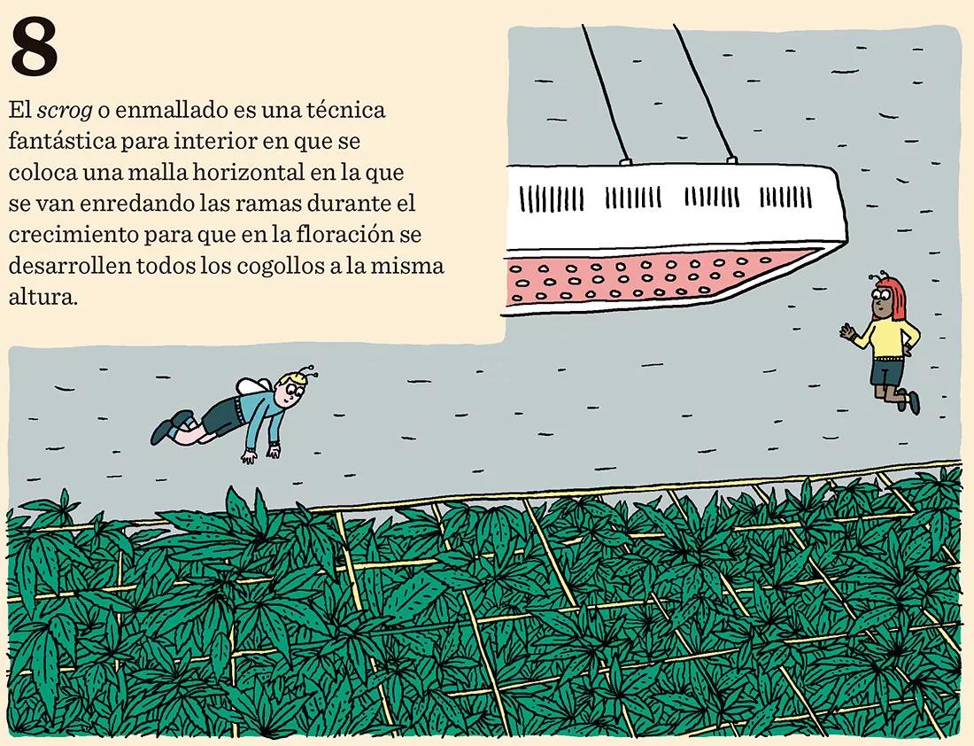 El domador de plantas: ocho técnicas para dominar el desarrollo